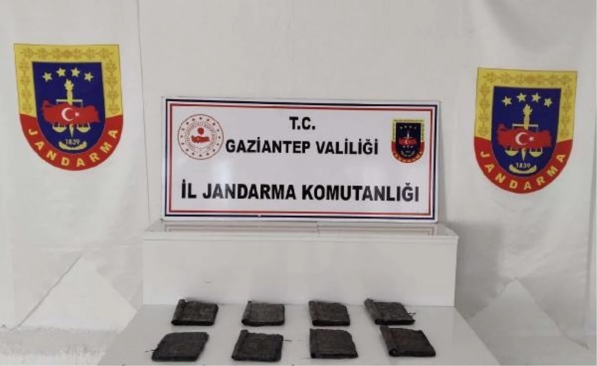 Gaziantep\'te Tevrat Operasyonu: 8 Tevrat ele geçirildi, 1 kişi gözaltına alındı