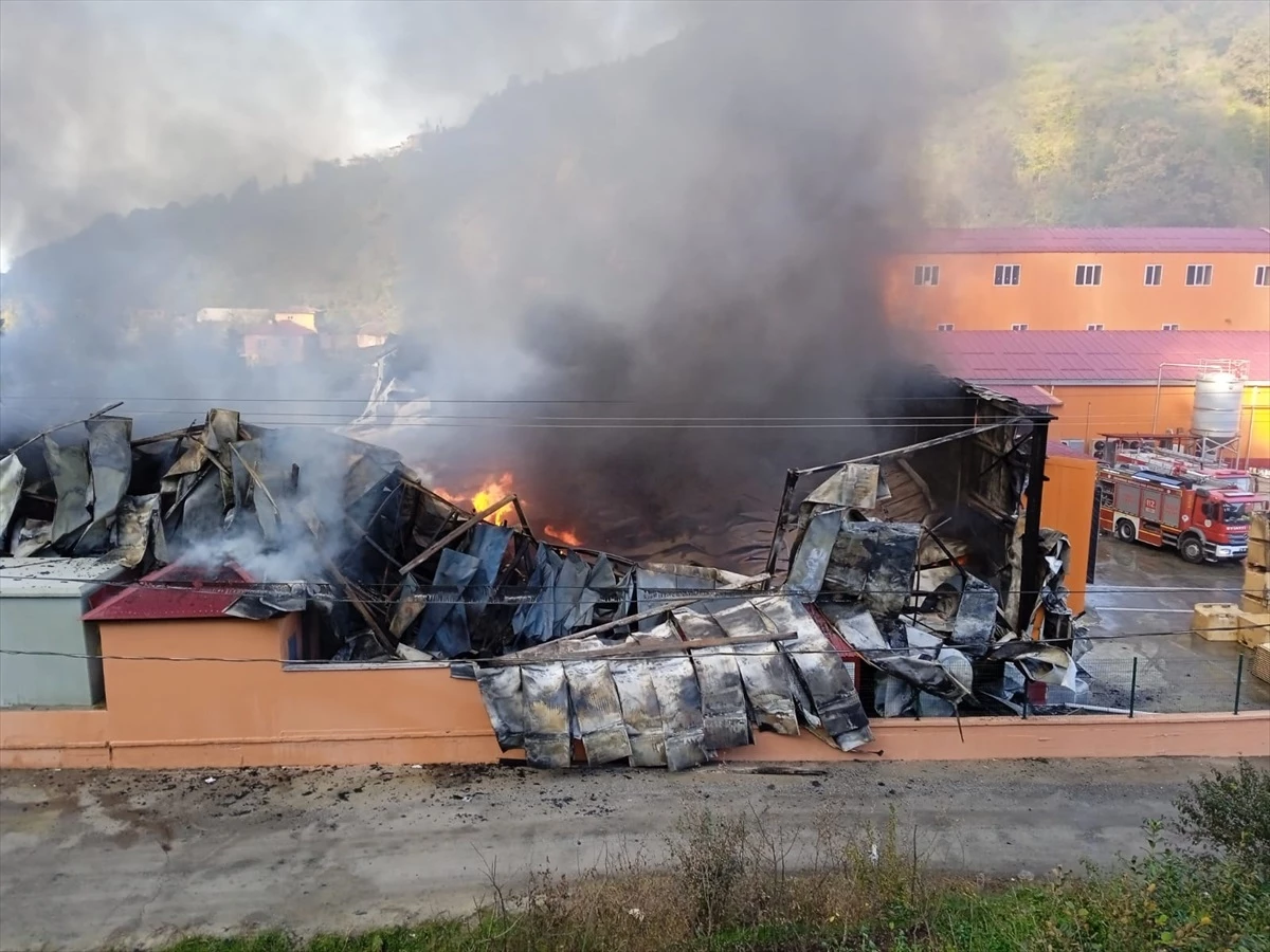 Giresun\'da Balık İşleme Fabrikasında Yangın Kontrol Altına Alındı