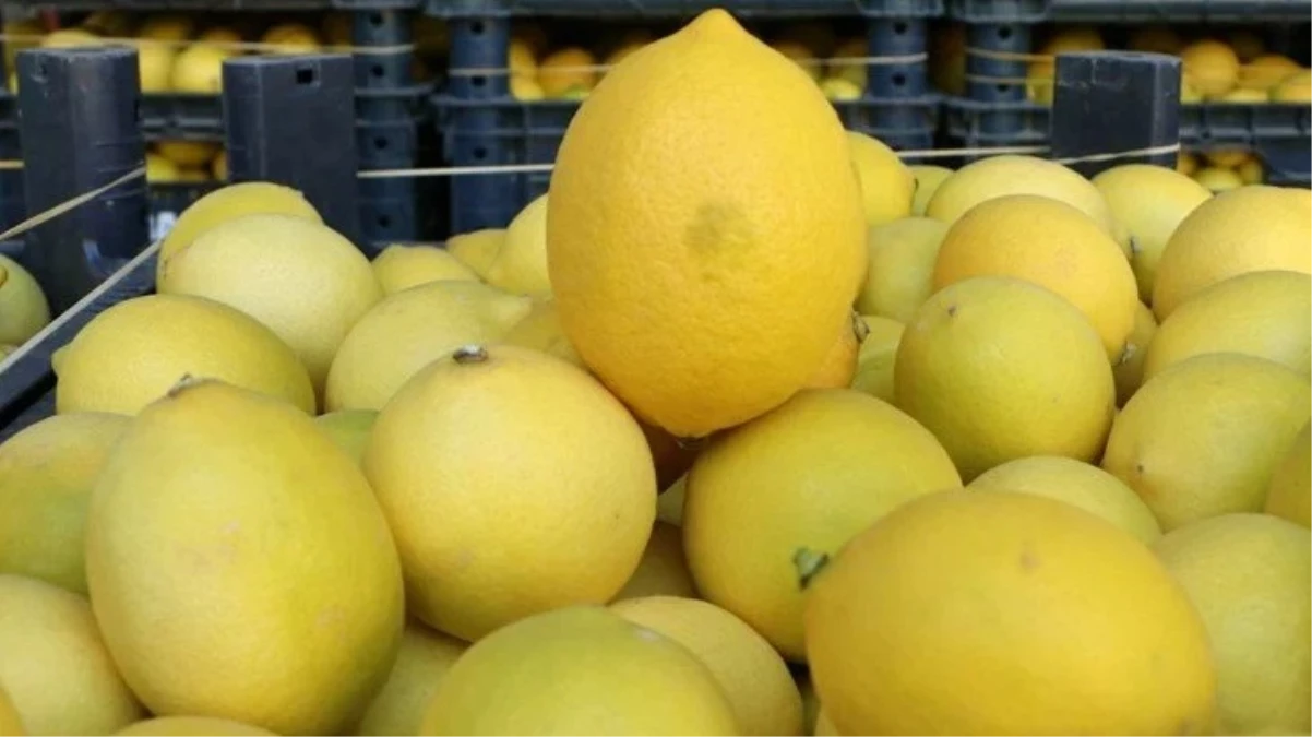 Limonun fiyatı tarladan markete gelene kadar yüzde 548 arttı