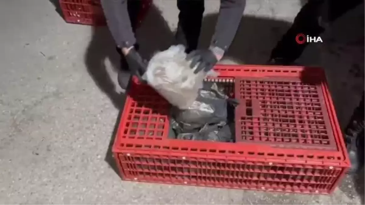 Osmaniye\'de canlı tavuk taşıyan araçta skunk maddesi ele geçirildi