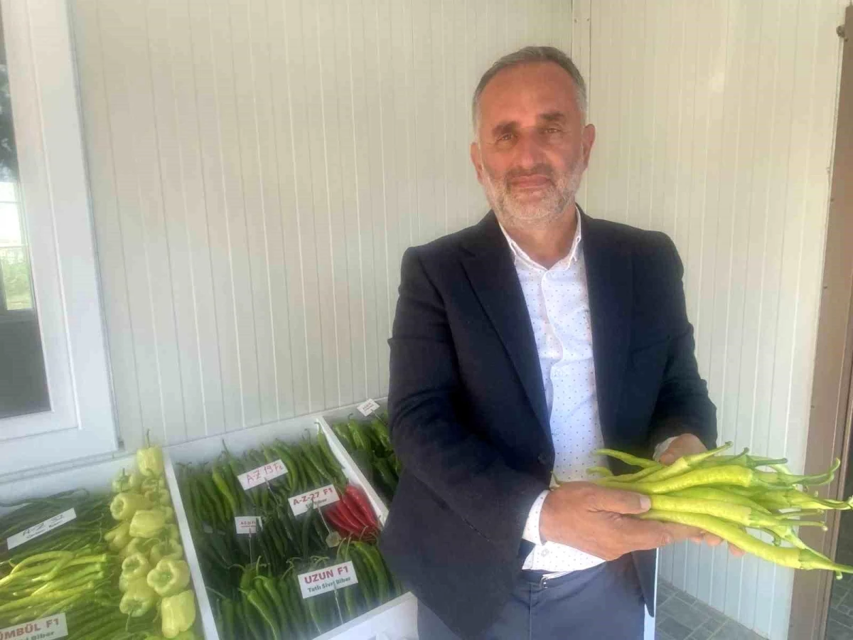 Antalyalı Ziraat Yüksek Mühendisi 35 Ülkeye Tohum İhracatı Yapıyor