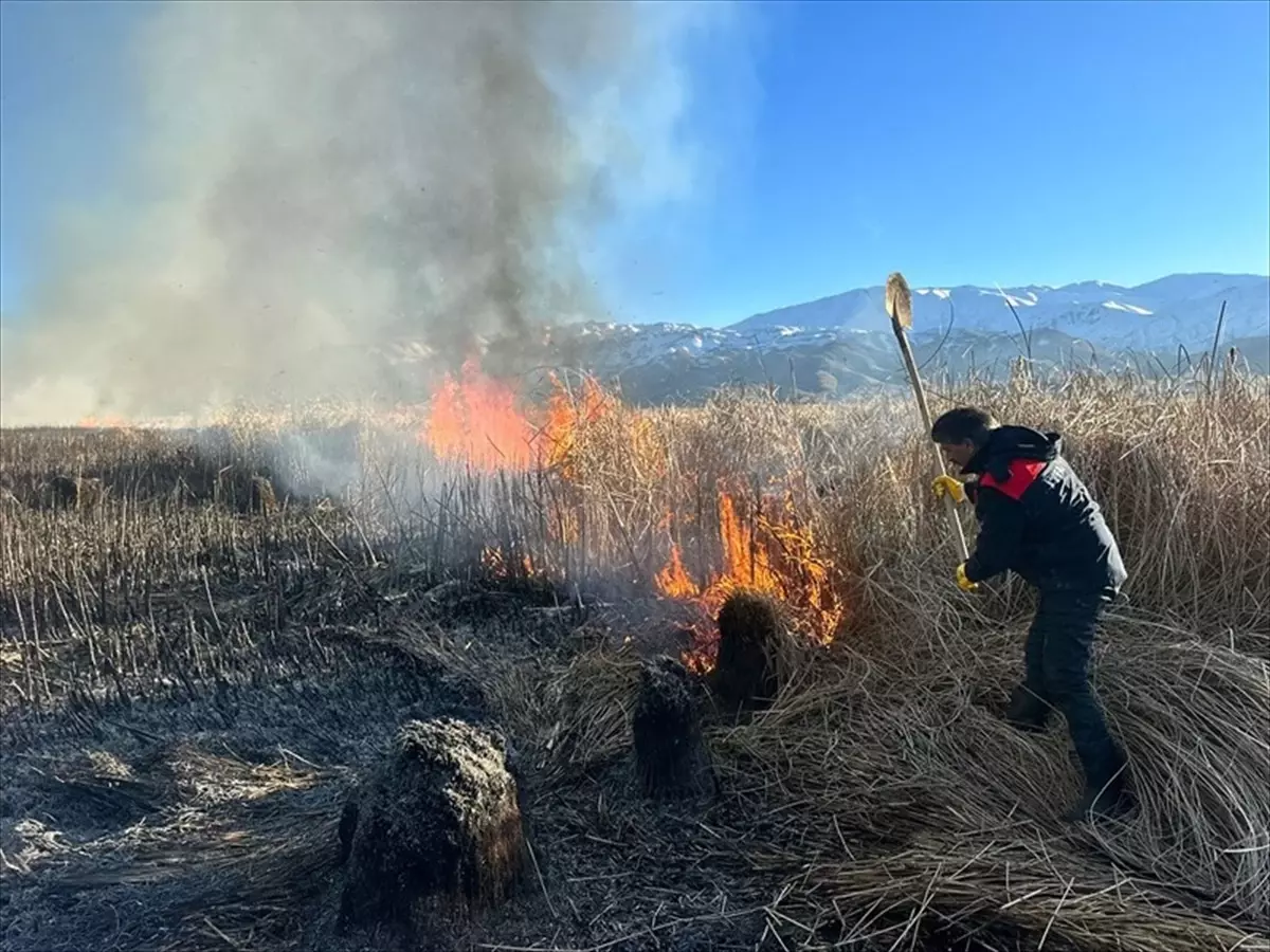 Hakkari Yüksekova\'da Nehil Sazlığı\'nda yangın çıktı
