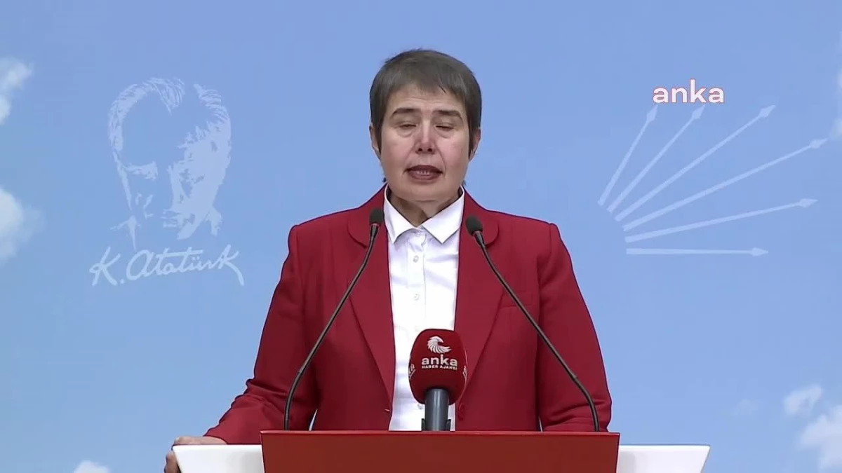 CHP Genel Başkan Yardımcısı Zeliha Aksaz Şahbaz, TTB\'ye yapılan hukuk darbesini kınadı