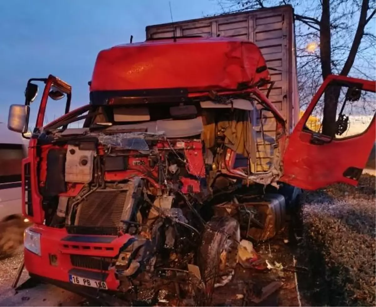 İnegöl\'de ağaca çarpan TIR\'ın şoförü kurtarıldı