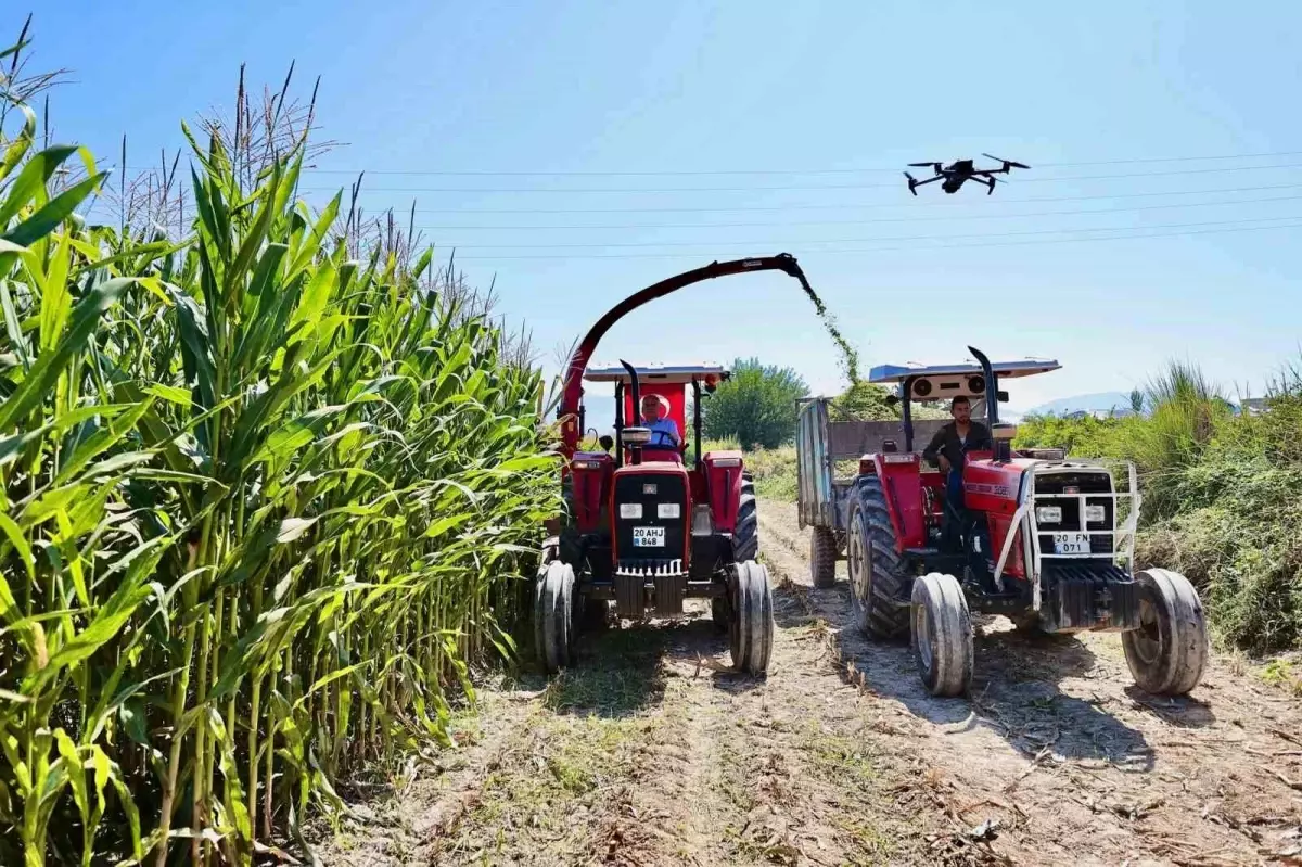 Denizli Büyükşehir Belediyesi Tarım ve Hayvancılık Desteklerine Devam Ediyor