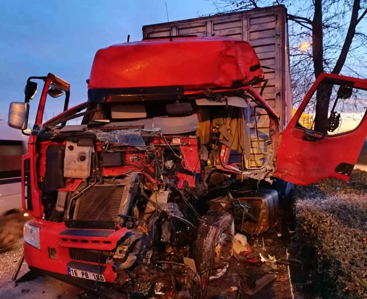 İnegöl\'de tır ağaca çarptı, sürücü kurtarıldı