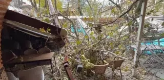 Bursa'da devrilen ağaçlar kış aylarında yakacak olarak dağıtılıyor