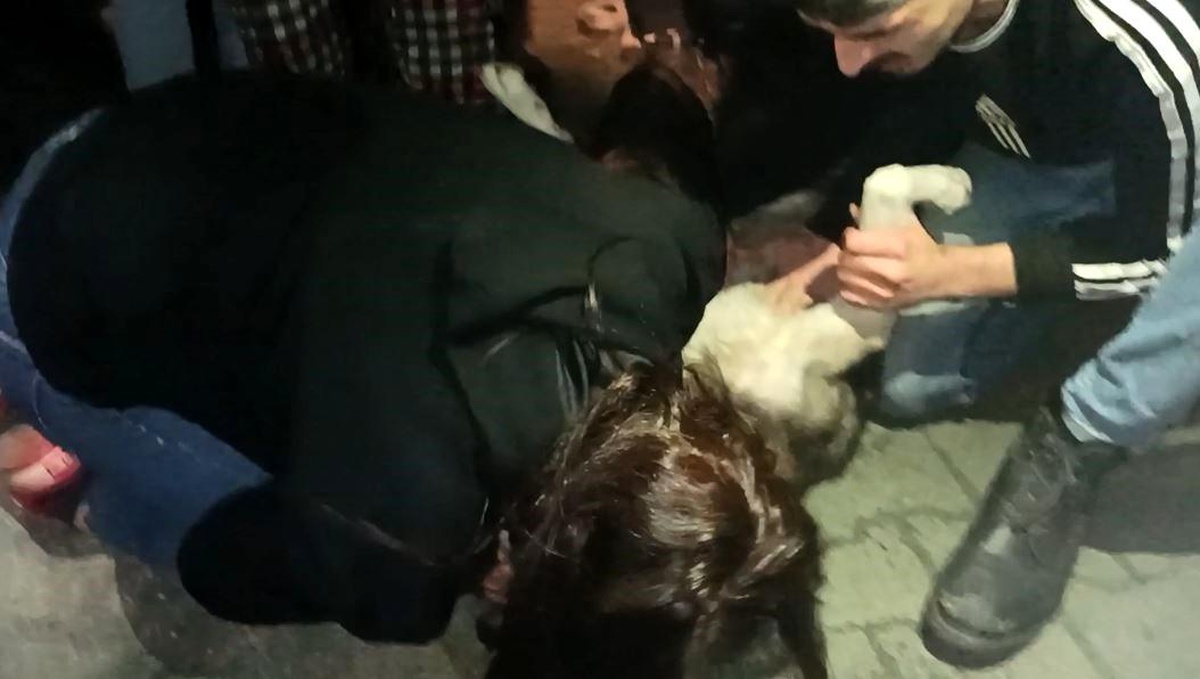 Artvin\'de çıkan yangında köpeğe suni teneffüs ve kalp masajı yapıldı