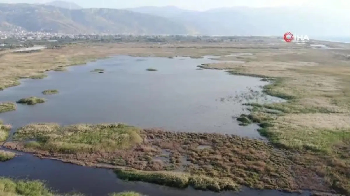 Kuş cenneti yağışla canlandı