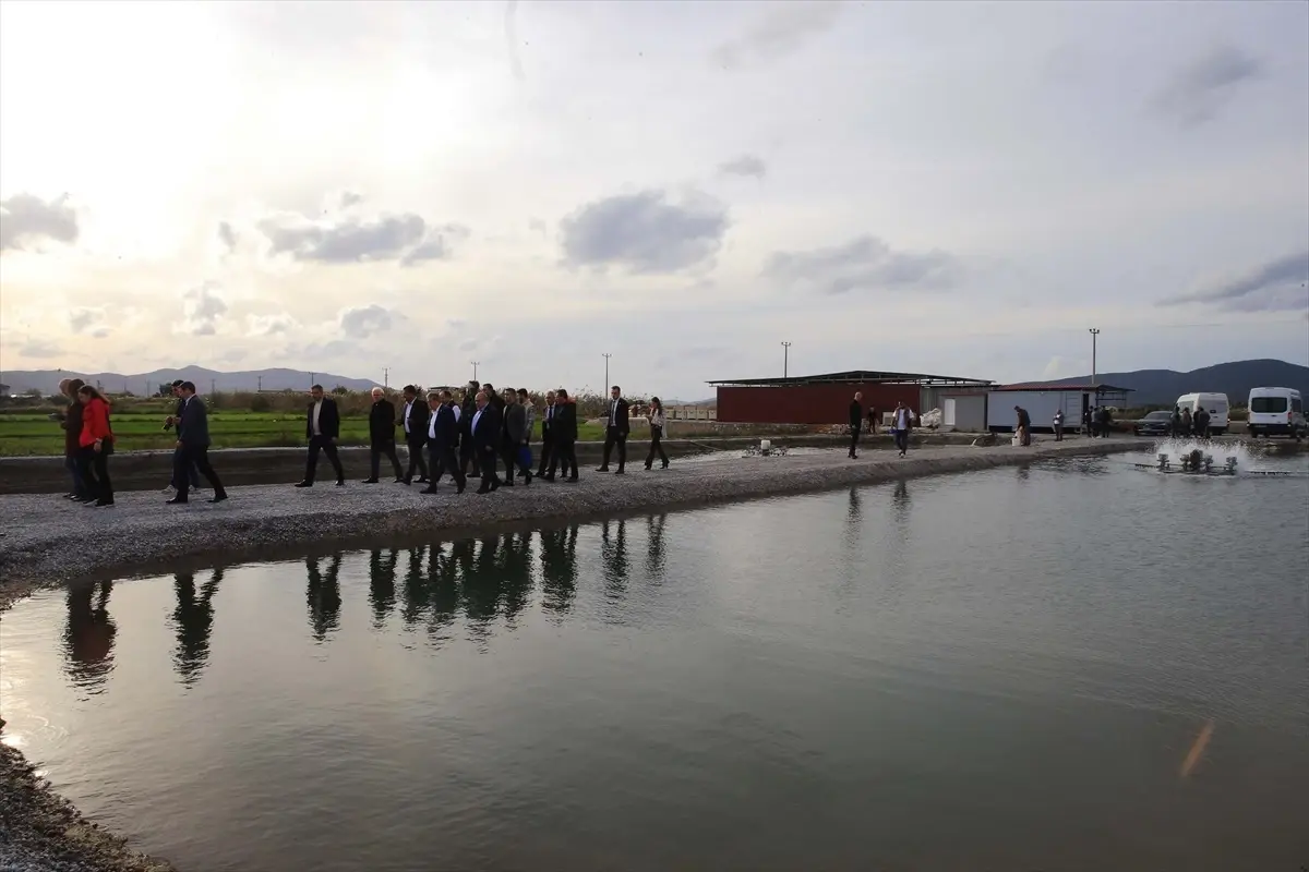 Meclis Araştırma Komisyonu Balık Çiftliklerinde İncelemelerde Bulundu