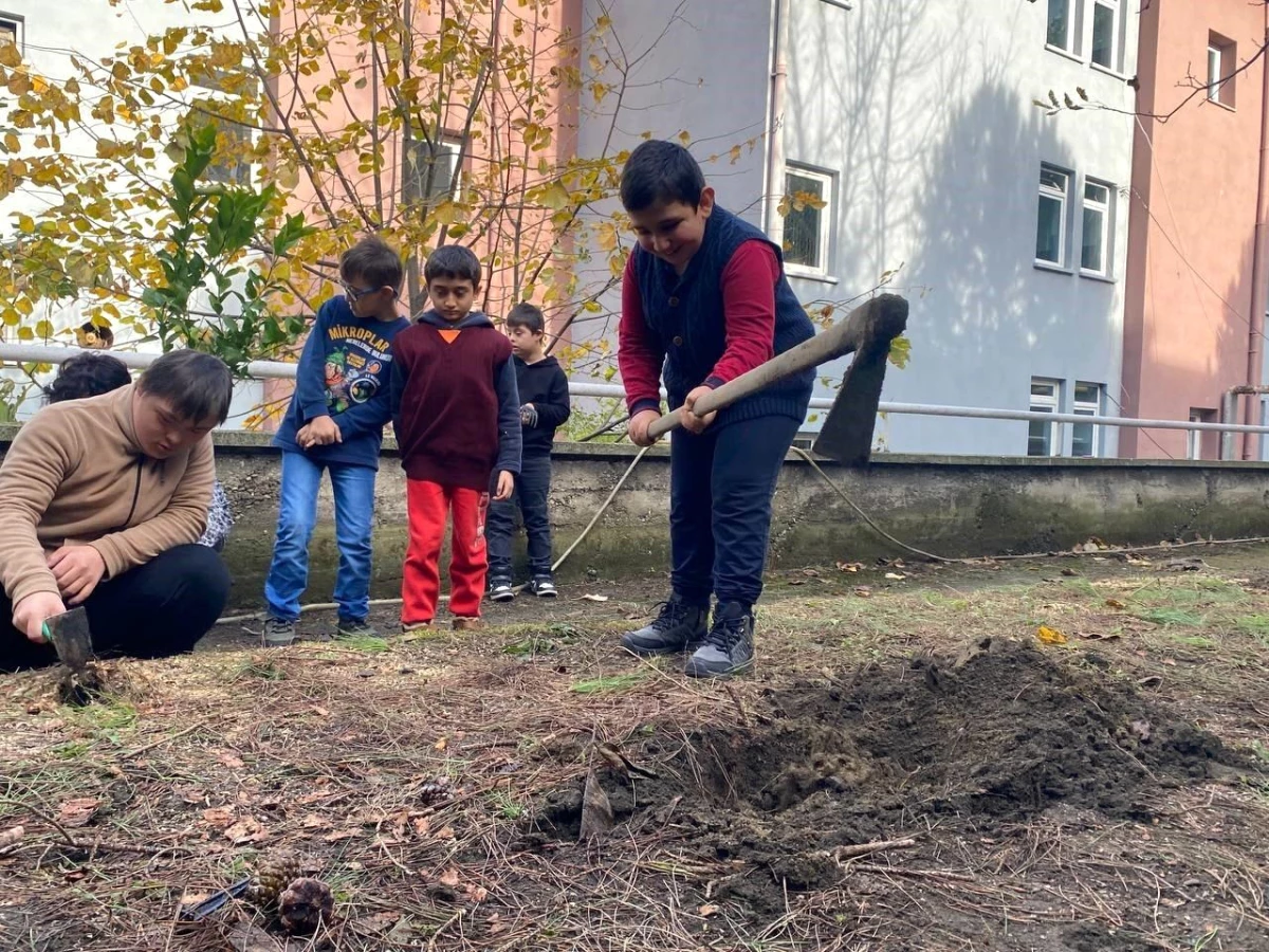 Zonguldak\'ta özel eğitim okulu öğrencileri fidan dikti