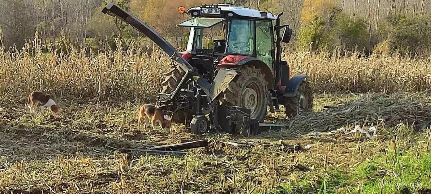 Sinop\'ta Silaj Makinesi Kazası: Bir Kişi Hayatını Kaybetti