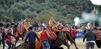 Deve Güreşi Festivali'nde Onur Konuğu Fatma Çiftçi