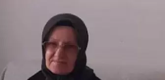 Trabzon'da Bahçede Yorgun Mermi İsabet Eden Kadın Hayatını Kaybetti