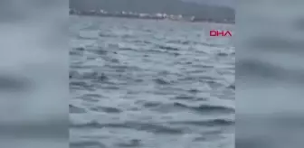 Kayıp genç kızın cansız bedenini balıkçılar bulmuştu! O anlara ilişkin görüntüler ortaya çıktı