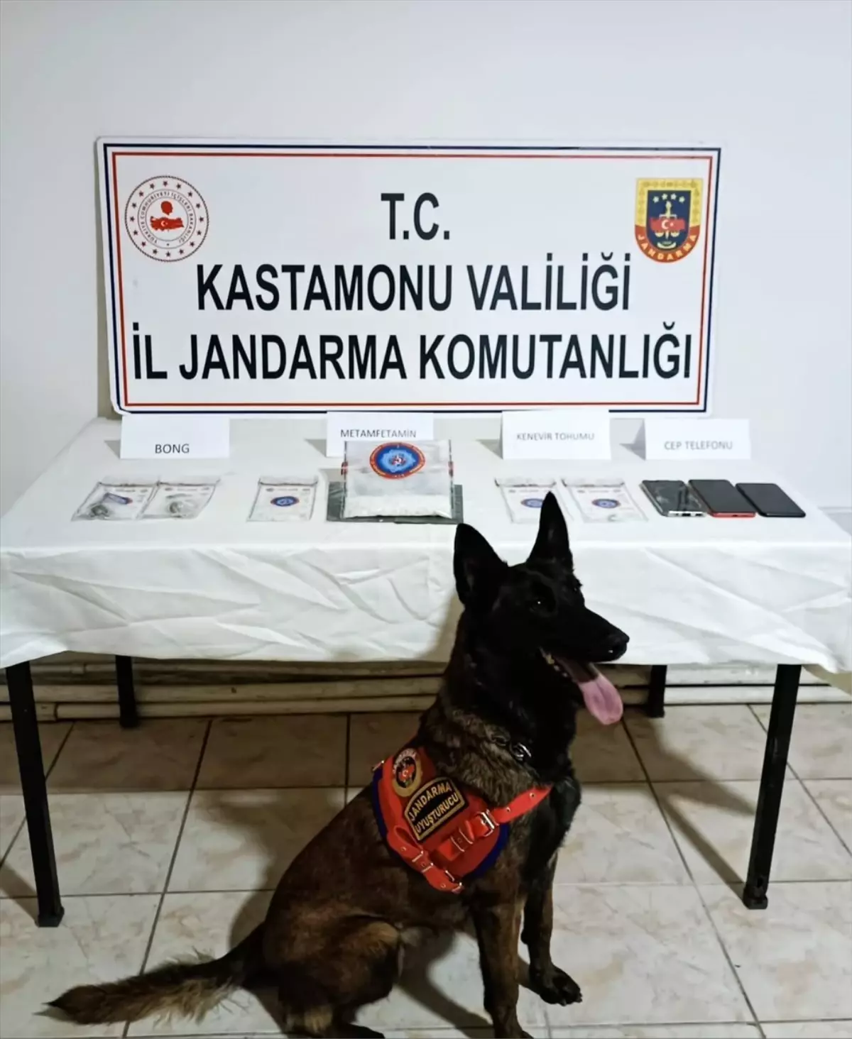 Kastamonu\'da Uyuşturucu Operasyonunda Yakalanan Zanlı Tutuklandı