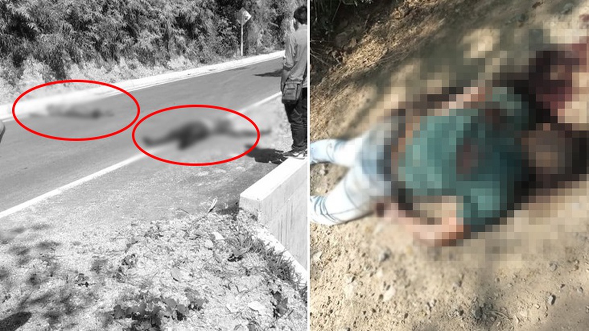 Kolombiya\'nın turistik kasabasında 7 ceset bulundu! Vücutlarında işkence izleri tespit edildi