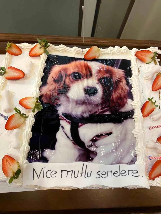Köpeğinin yeni yaşını 150 kişinin katıldığı partiyle kutladı