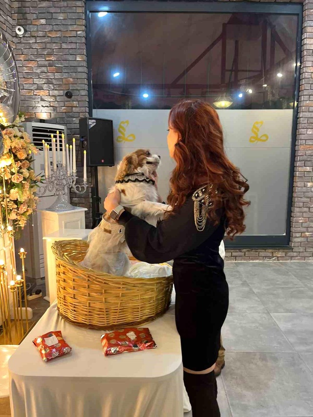 Köpeğinin yeni yaşını 150 kişinin katıldığı partiyle kutladı Köpeğinin yeni yaşını 150 kişinin katıldığı partiyle kutladı
