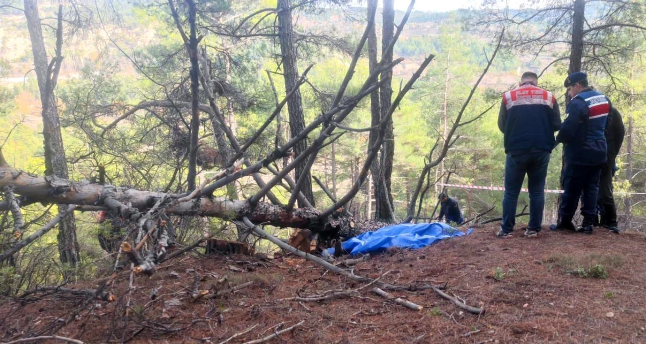 Denizli\'de odun keserken ağacın altında kalan yaşlı adam hayatını kaybetti