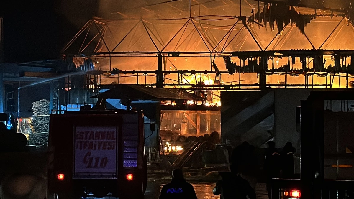 Sinop\'un Ayancık ilçesinde ahşap fabrikasında yangın çıktı