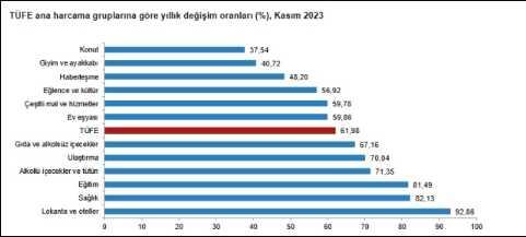 TÜİK Kasım 2023 enflasyon ne kadar? Enflasyon Kasım ayı yüzde kaç, ne kadar arttı?