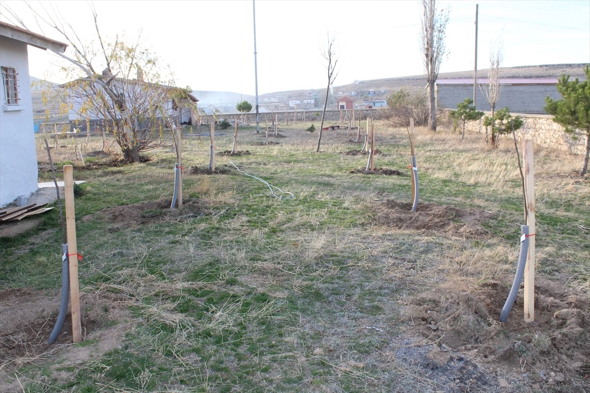 Yunak\'ta Organik Okul Bahçem Projesi kapsamında Yavaşlı Mahallesi İlkokulu bahçesine ceviz ve badem ağaçları dikildi
