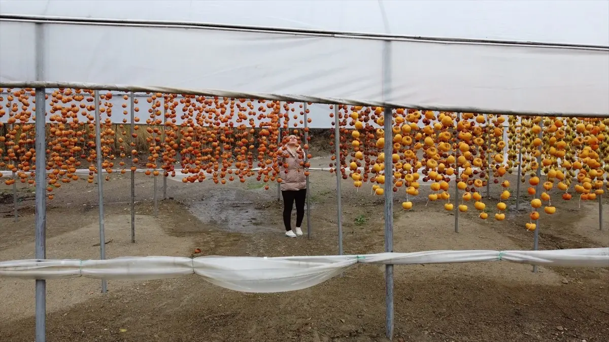 Başköy Kadınları Trabzon Hurmasını Katma Değerli Ürünlere Dönüştürerek Satıyor