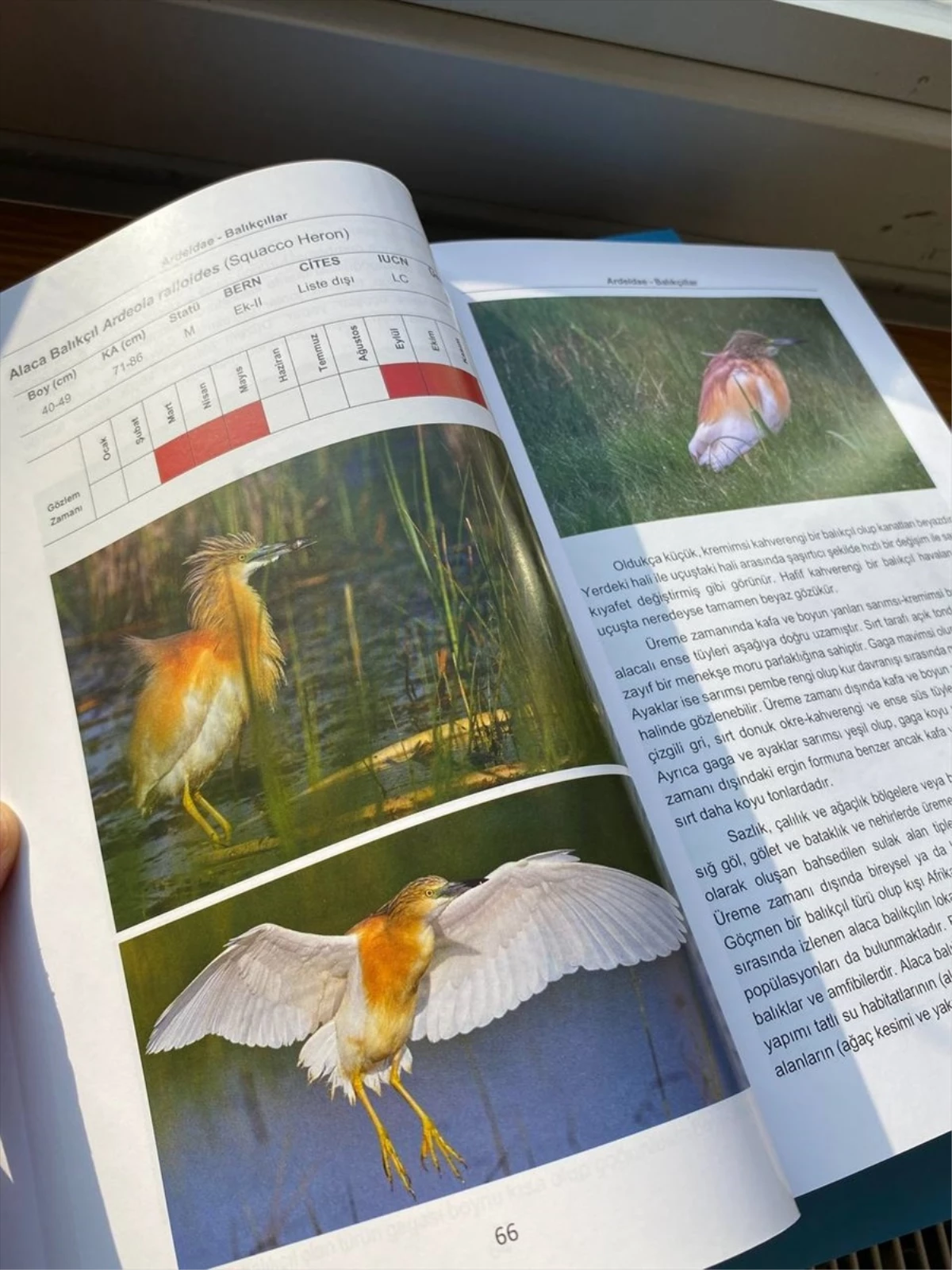 Bolu\'daki okullara kuş kitabı hediye edildi