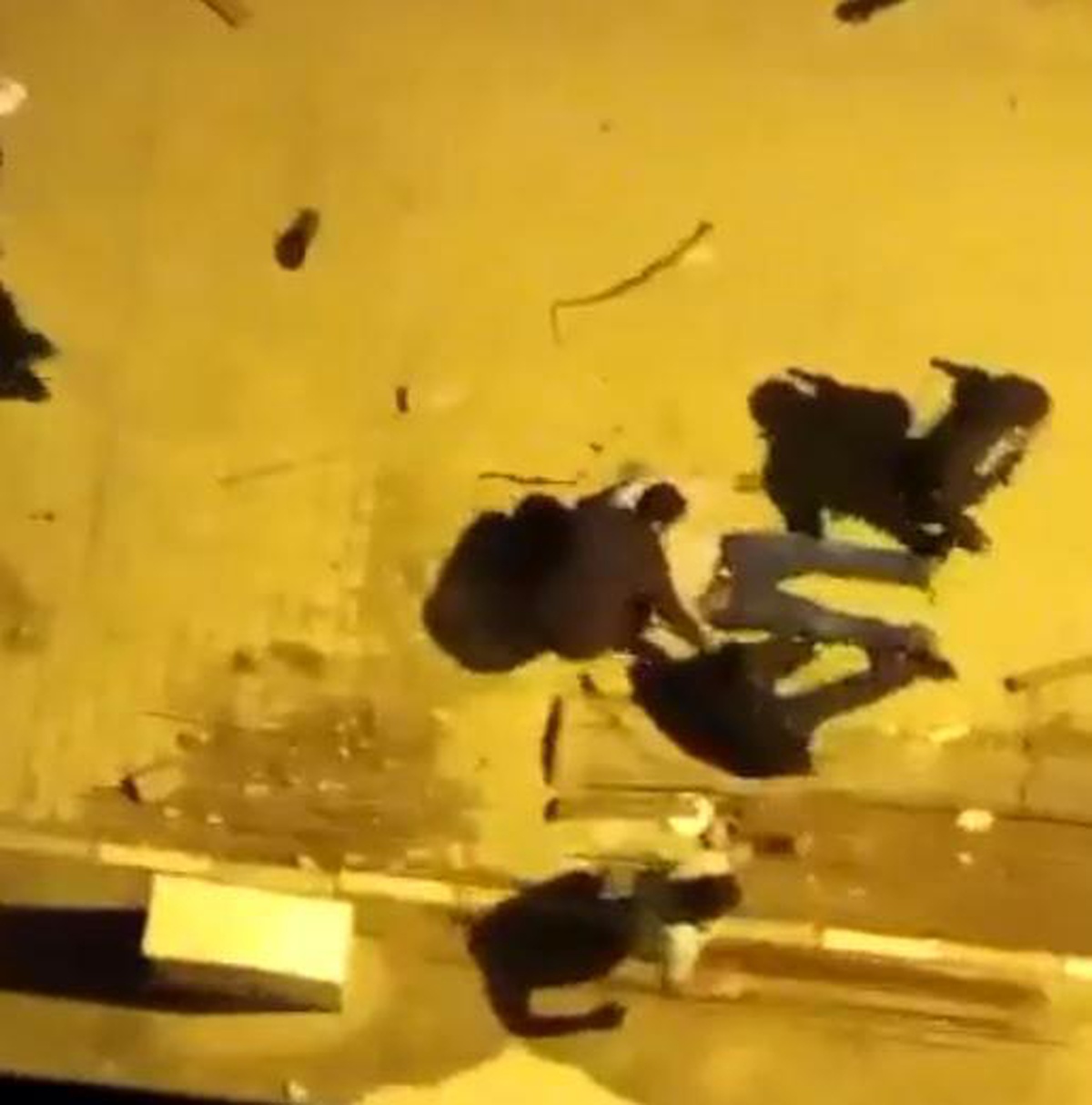 Aydın\'da kavga: 23 kişi gözaltına alındı, 2 tutuklama