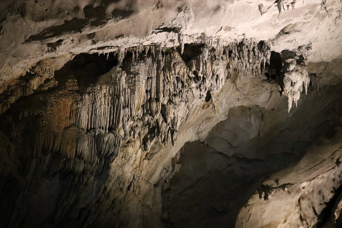 DOSYA HABER/TÜRKİYE\'NİN MAĞARALARI - Yeni yangıç türü bulunan Gökgöl Mağarası, bilim dünyasına yeni keşiflerin kapılarını aralıyor