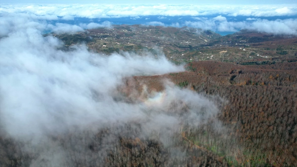 Kastamonu\'da sisli kara yolu ve ormanlık alanlar dron ile görüntülendi