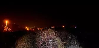 Salihli'de kayıp çiftçi üzüm bağında ağır yaralı bulundu