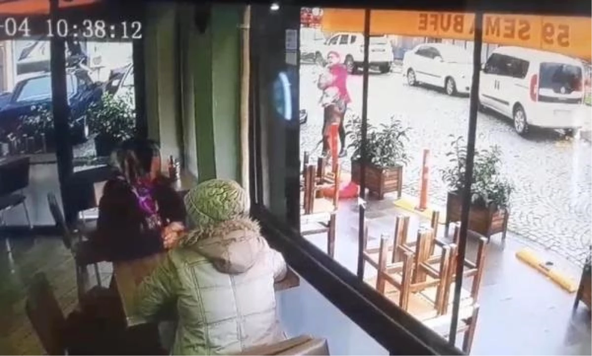 Tekirdağ'da Pitbull Saldırısı: Köpek Sahibini ve Diğer Köpeği Yaraladı