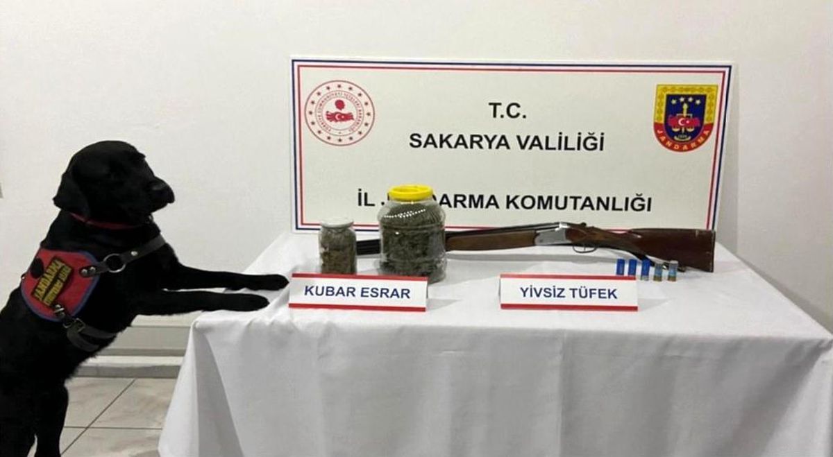 Sakarya\'da Kaçakçılık Operasyonunda 7 Kişi Tutuklandı