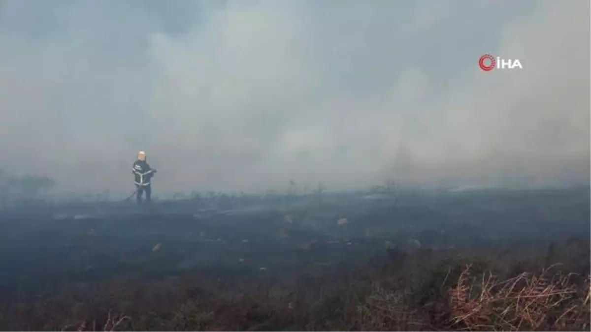 Sinop'ta ot yangını