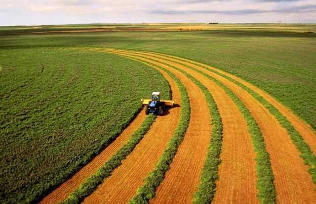 Uygulama 2025'te başlıyor! bakanlık, vatandaşın işlemediği tarım arazilerini kiraya verecek Uygulama 2025'te başlıyor! bakanlık, vatandaşın işlemediği tarım arazilerini kiraya verecek