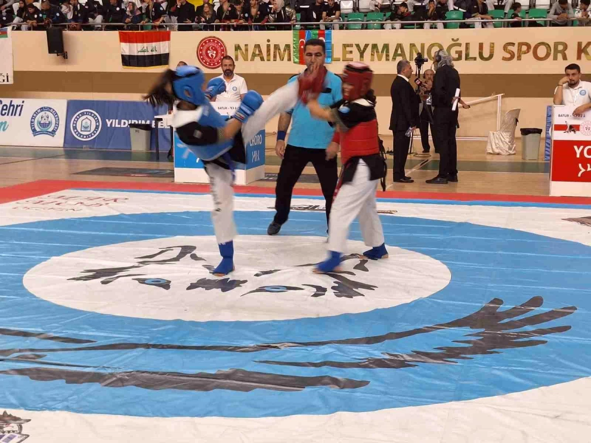 Bursa\'da düzenlenen Alpagut Turan Dövüş Sanatları Dünya Şampiyonası sona erdi