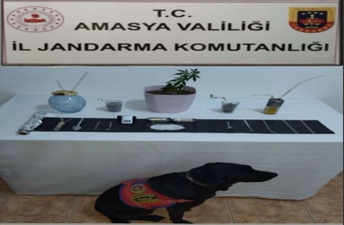 Amasya\'da uyuşturucu operasyonu: 1 şüpheli gözaltına alındı