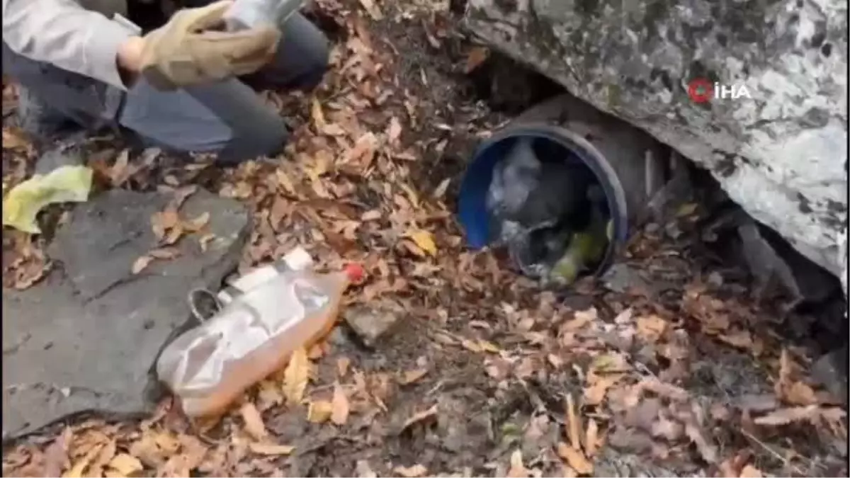 Bitlis\'te terör örgütü PKK\'ya yönelik operasyonda silah ve mühimmat ele geçirildi