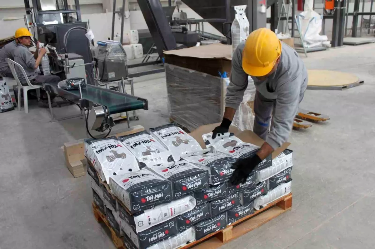 Çankırı\'da sodyum bentonit ile üretilen katma değerli ürünler 30 ülkeye ihraç ediliyor