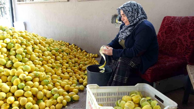Limonun kendisi para etmeyince kabuğunu satmaya başladılar Limonun kendisi para etmeyince kabuğunu satmaya başladılar