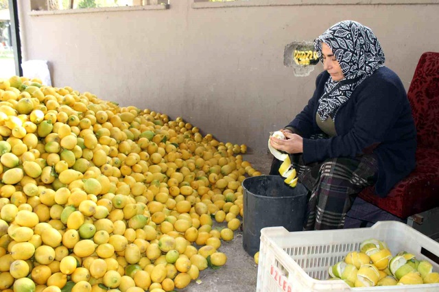 Limonun kendisi para etmeyince kabuğunu satmaya başladılar Limonun kendisi para etmeyince kabuğunu satmaya başladılar