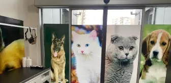Diyarbakır'da evcil hayvanlar için aşı ve çip uygulama odası açıldı