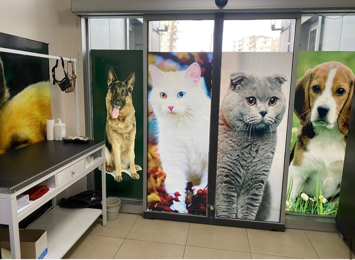 Diyarbakır\'da evcil hayvanlar için aşı ve çip uygulama odası açıldı