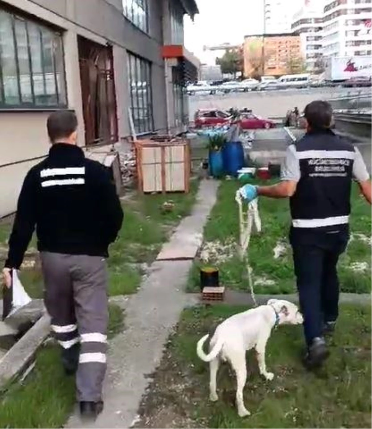 İstanbul Basın Ekspres Yolu\'nda Köpeğe Şiddet