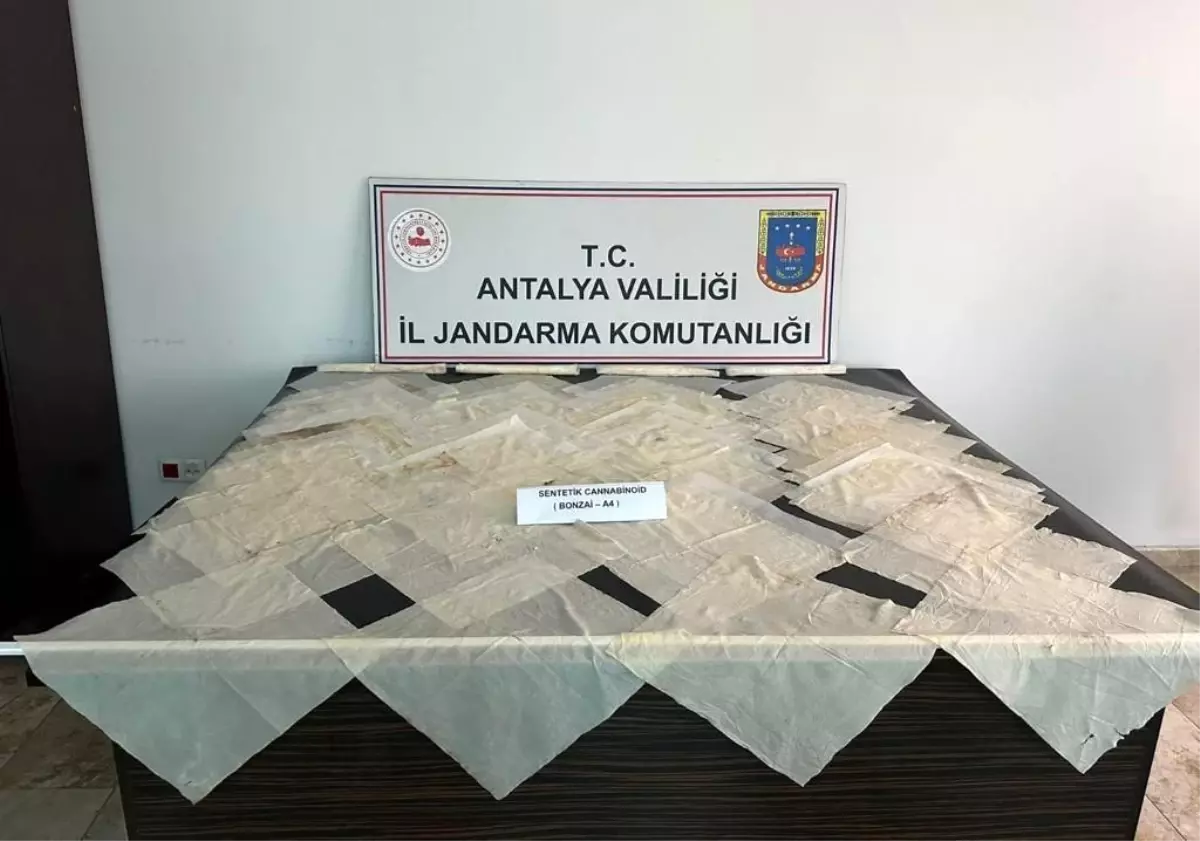 Antalya\'da 2 Milyon TL Değerinde Bonzai Ele Geçirildi