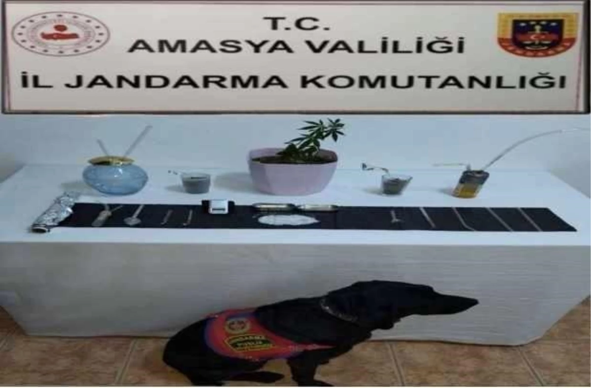 Amasya\'da Uyuşturucu Operasyonu: 1 Gözaltı