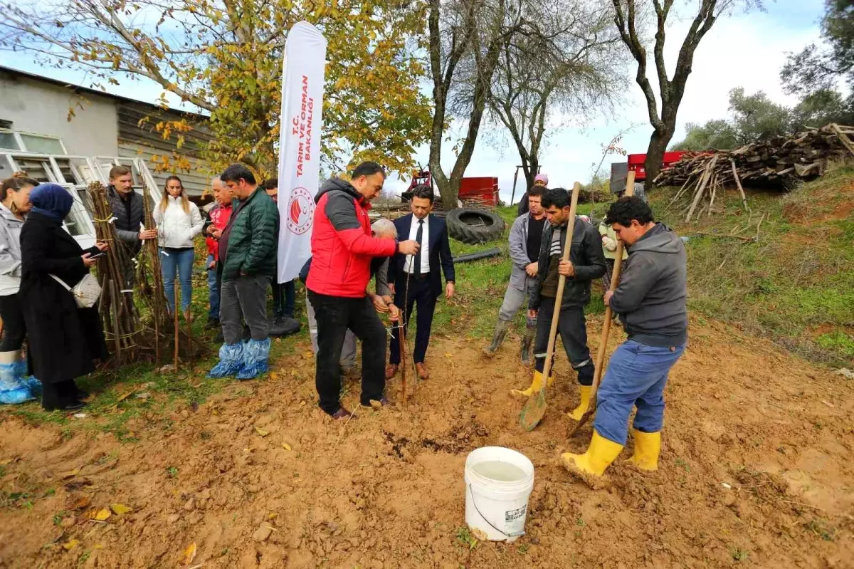 Muğla\'da TAKEP kapsamında 7 bin fidan dağıtıldı
