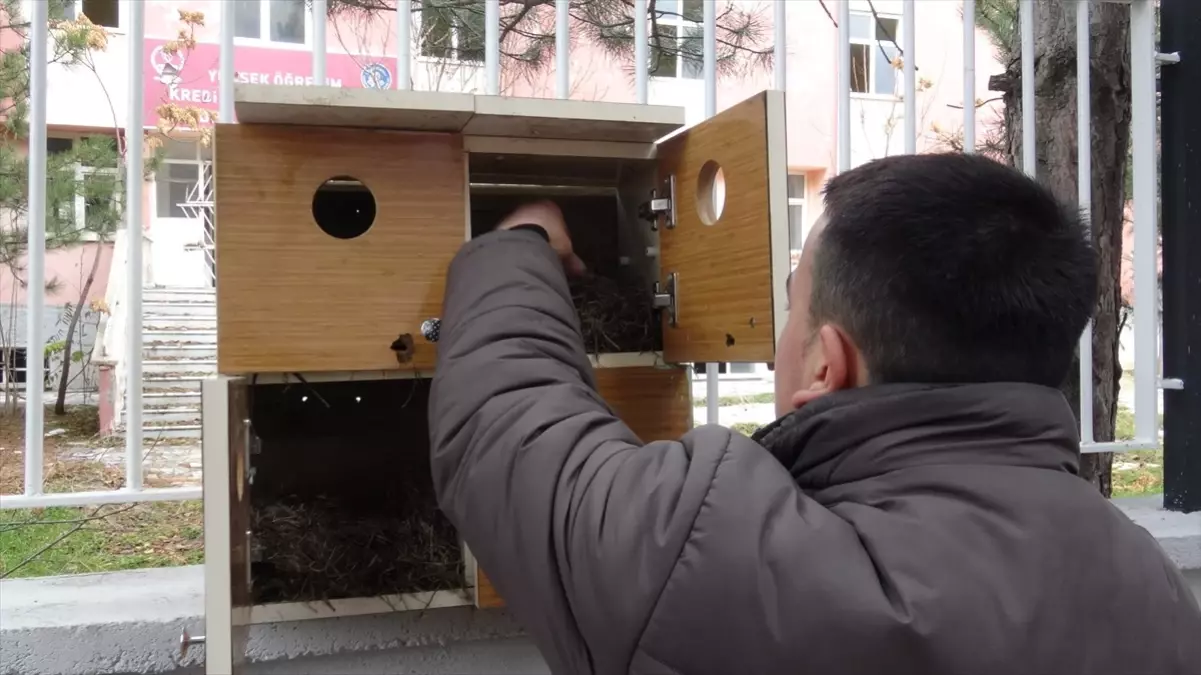 Lise Öğrencileri Eski Telefon Dolaplarından Kuş Yuvası Yaptı